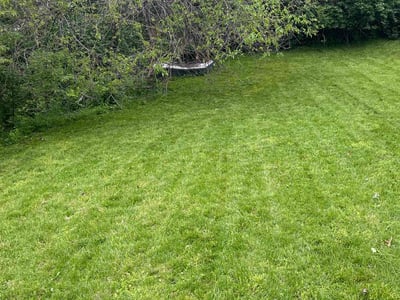 Lawn Care service in Portland, 04101