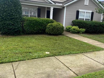 Lawn Care service in Columbia, 38401