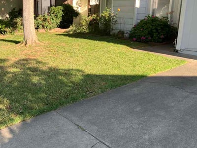 Lawn Care service in Antelope, 95843