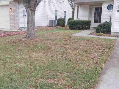 Lawn Care service in Indianapolis, 46204