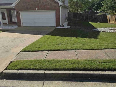 Lawn Care service in Temple, 30179