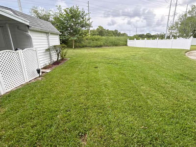 Lawn Care service in Tarpon Springs, 34689