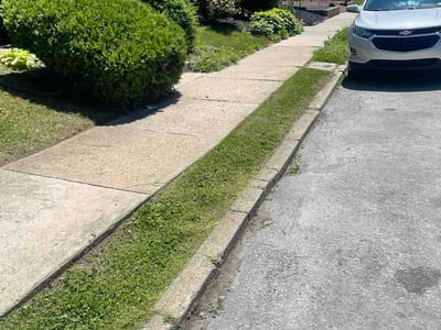 Lawn Care service in Havertown, 19083