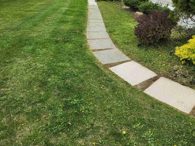 Lawn Care service in Williamstown, 17098