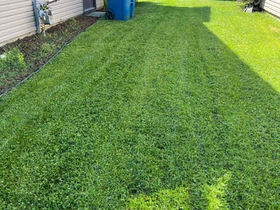 Lawn Care service in Avon, 06001