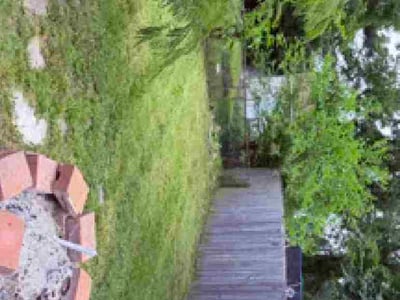 Lawn Care service in Springfield, 19064