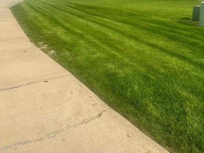Lawn Care service in Youngstown, 44503