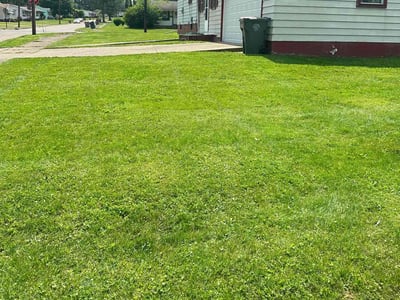 Lawn Care service in Youngstown, 44503