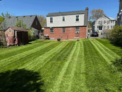 Lawn Care service in East Hampton, 06424