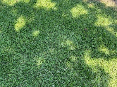 Lawn Care service in Hollywood, 33020