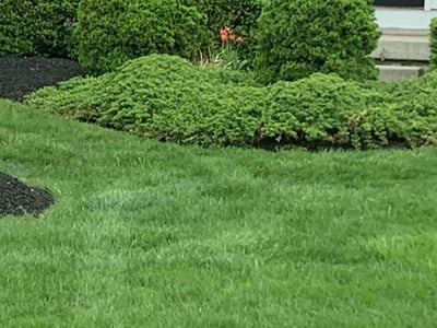 Lawn Care service in New Albany, 43054