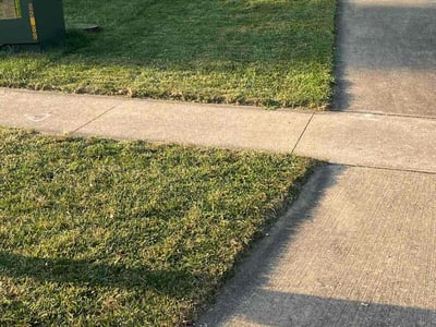 Lawn Care service in Champaign, 61820