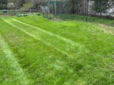 Lawn Care service in Burlington, 05401