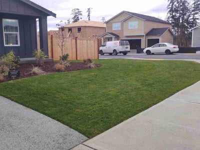 Lawn Care service in Graham, 98338
