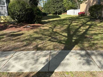Lawn Care service in Aiken, 29801