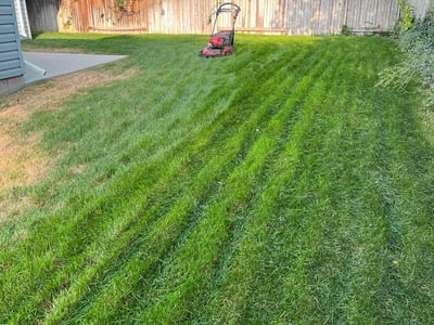 Lawn Care service in Sandy, 84092