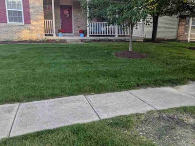Lawn Care service in Egg Harbor Township, 08234