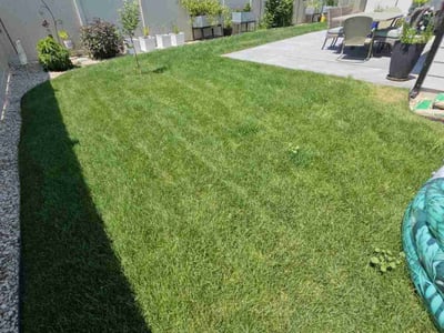 Lawn Care service in Meridian, 83642