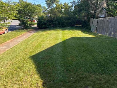 Lawn Care service in Capitol Heights, 20743