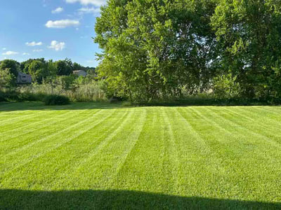 Lawn Care service in Chaska, 55318