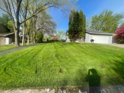 Lawn Care service in Chaska, 55318