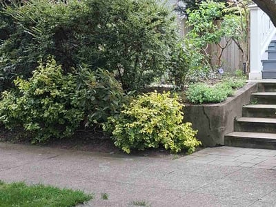 Lawn Care service in Monroe, 98272