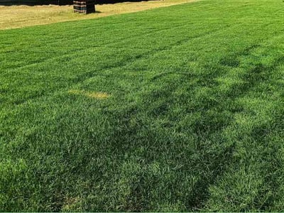 Lawn Care service in La Plata, 20646