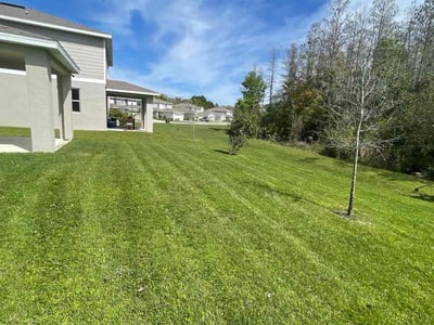 Lawn Care service in Taunton, 02780