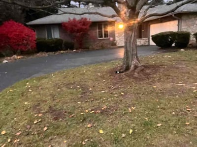Lawn Care service in Murrysville, 15668