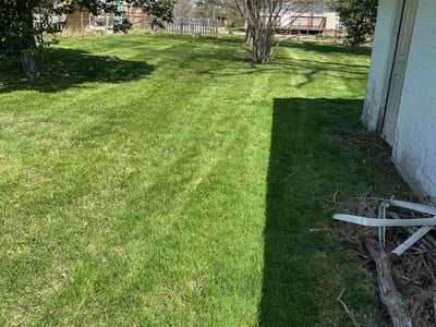 Lawn Care service in Bristol, 37620