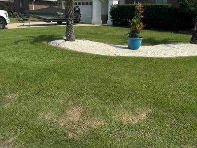 Lawn Care service in Panama City, 32401