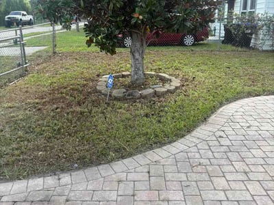 Leaf Removal service in St Cloud, 34769