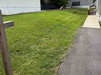 Lawn Care service in Westwood, 07675