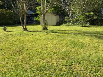 Lawn Care service in Saint Albans, 11412
