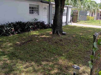 Leaf Removal service in Punta Gorda, 33950