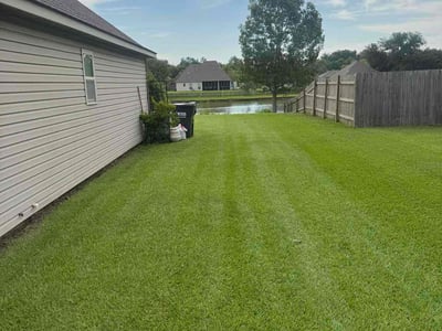 Lawn Care service in Henderson, 75652