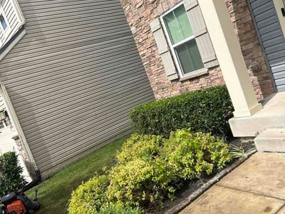 Leaf Removal service in Hamilton, 45011