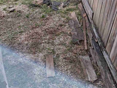 Leaf Removal service in Hamilton, 45011