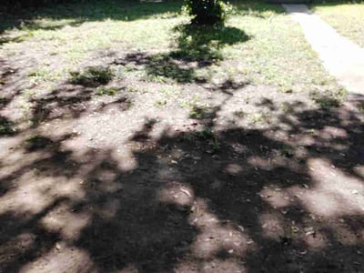 Leaf Removal service in Milton, 32570