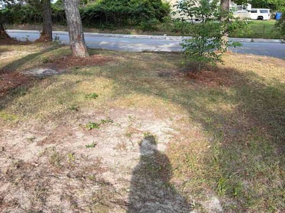 Leaf Removal service in Myrtle Beach, 29577