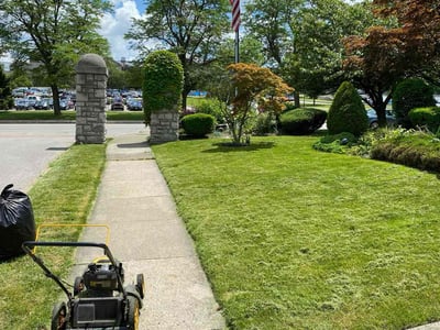 Lawn Care service in Bronx, 10462