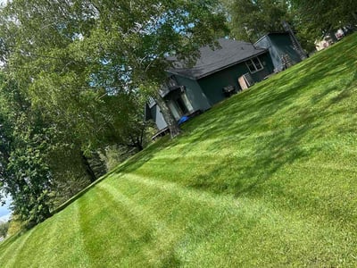 Lawn Care service in Bristol, 37620