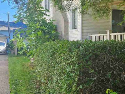 Leaf Removal service in Iowa City, 52240