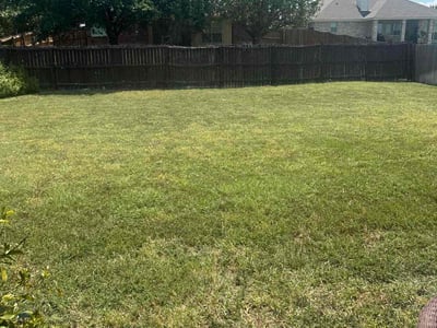 Lawn Care service in Harker Heights, 76548