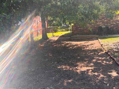 Leaf Removal service in Greer, 29651