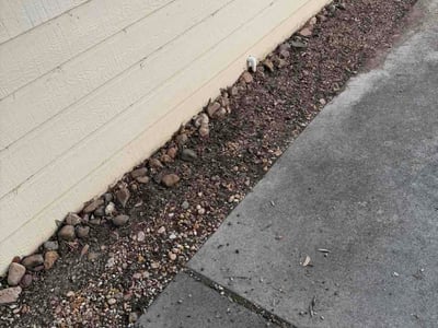 Leaf Removal service in Cypress, 77429