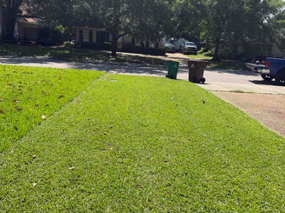 Lawn Care service in Biloxi, 39530