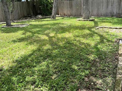 Lawn Care service in Harlingen, 78550