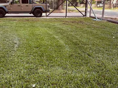 Lawn Care service in Harlingen, 78550