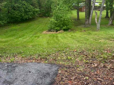 Lawn Care service in Martinsburg, 25401